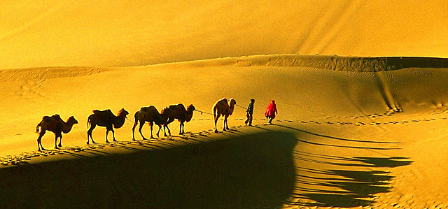Silk Road is an ancient trading path linking Asia and Europe. Discover its glorious past with us, see  11 Days Silk Road Classic Tour Package (A)